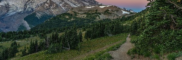 Park Narodowy Mount Rainier, Góry, Stany Zjednoczone, Mount Rainier, Droga, Drzewa, Stratowulkan, Wschód słońca, Śnieg, Stan Waszyngton