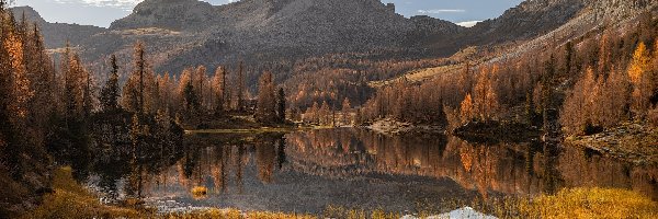 Brązowe, Jesień, Drzewa, Dolomity, Włochy, Alpy, Lago Federa, Trawa, Jezioro, Góry, Żółta