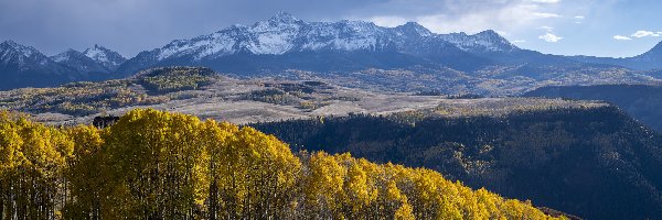 Stany Zjednoczone, Jesień, Las, San Juan Mountains, Góry, Kolorado, Drzewa