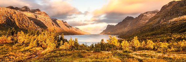 Pożółkłe, Chmury, Fiord, Góry, Norwegia, Jesień, Trawa, Ersfjorden, Drzewa
