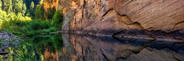 Stany Zjednoczone, West Clear Creek, Krzewy, Rzeka, Skały, Arizona, Odbicie