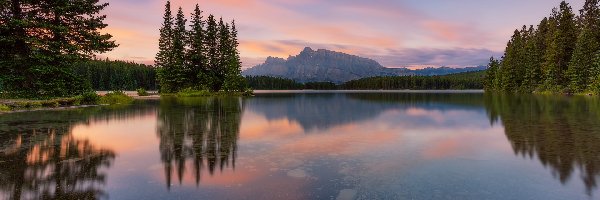 Drzewa, Two Jack Lake, Mount Rundle, Góra, Góry, Kanada, Alberta, Jezioro, Park Narodowy Banff