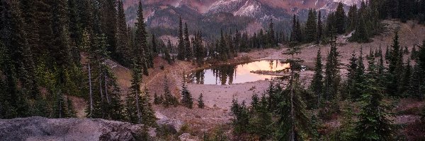 Tipsoo Lake, Jezioro, Mount Rainier, Góra, Stratowulkan, Stany Zjednoczone, Waszyngton, Drzewa,
Park Narodowy Mount Rainier