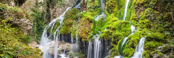 Wodospad, Roślinność, Most, Włochy, Capelli di Venere waterfall