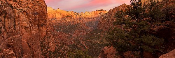 Zion Canyon, Kanion, Drzewa, Skały, Góry, Stany Zjednoczone, Utah, Sosny, Park Narodowy Zion