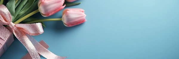 Kwiaty, Różowe, Wstążka, Niebieskie tło, Tulipany