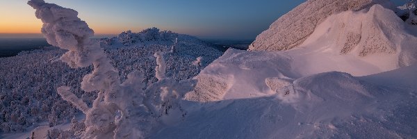 Poranek, Góry, Ośnieżone, Śnieg, Zima, Zaspy, Drzewa