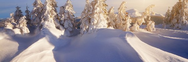 Zima, Zaspy, Śnieg, Promienie słońce, Drzewa