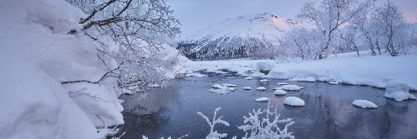 Drzewa, Rzeka, Góry, Śnieg, Zima, Ośnieżone, Las