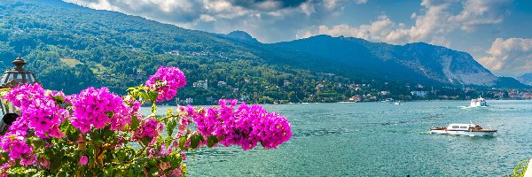 Kwiaty, Jezioro, Góra, Lago Maggiore, Włochy, Chmury, Niebo