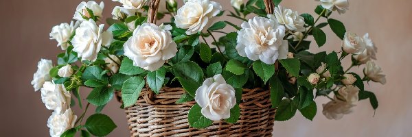 Kwiaty, Białe, Róże, Bukiet, Koszyk