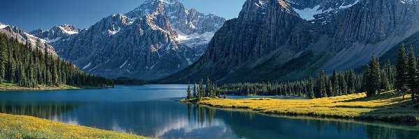 Kwiaty, Góry, Jezioro, Żółte