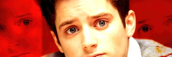 Twarz, Elijah Wood