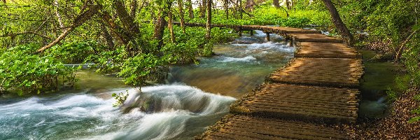 Drzewa, Park Narodowy Jezior Plitwickich, Rzeka, Pomost, Plitvice, Chorwacja