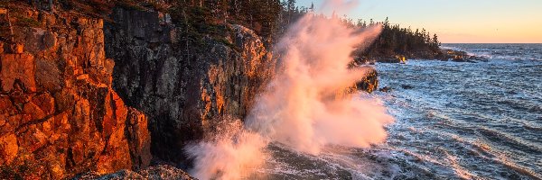 Maine, Drzewa, Park Narodowy Acadia, Stany Zjednoczone, Skały, Morze