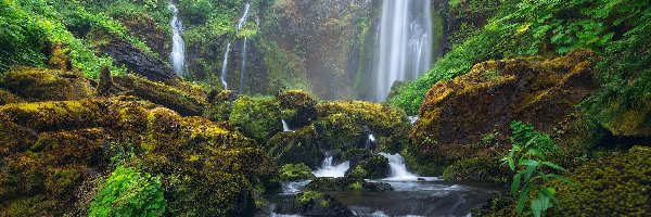 Gifford Pinchot National Forest, Rzeka, Stany Zjednoczone, Las, Kamienie, Głazy, Skały, Wodospad, Omszone, Oregon