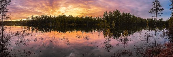 Jezioro, Drzewa, Las, Odbicie, Zachód słońca