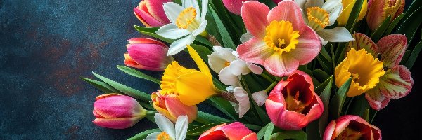 Bukiet, Kolorowe, Kwiaty, Narcyzy, Tulipany
