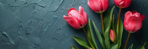 Tulipany, Liście, Pąki, Różowe