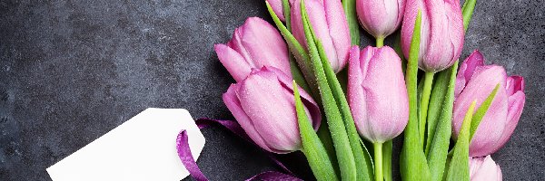 Kwiaty, Tulipany, Różowe, Zawieszka, Bukiet