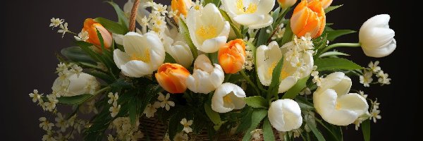 Bukiet, Białe, Pomarańczowe, Koszyk, Tulipany, Kwiaty