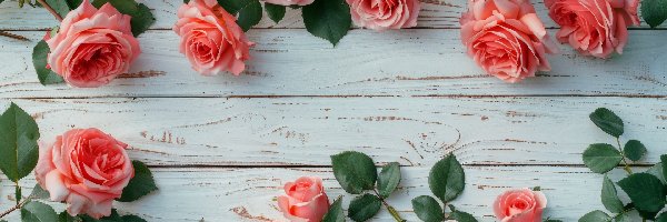 Róże, Deski, Drewniane, Kwiaty