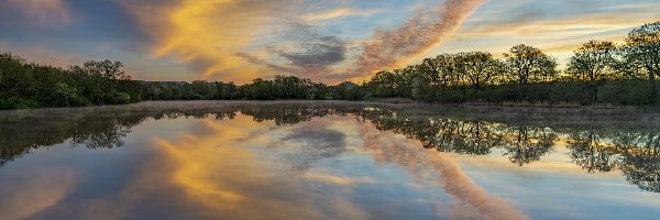 Wschód słońca, Jezioro Sterenbachsee, Drzewa, Niemcy, Dolina Wittlicha