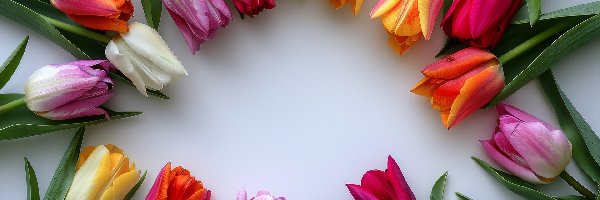 Tulipany, Kwiaty, Kolorowe, Grafika, Blat