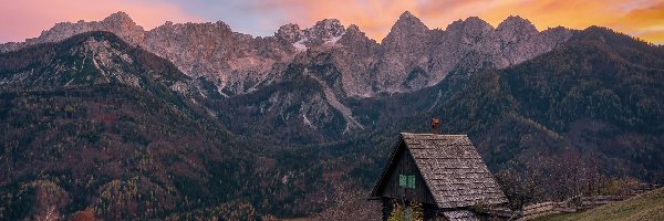 Słowenia, Las, Drzewa, Alpy Julijskie, Góry, Kranjska Gora, Dom