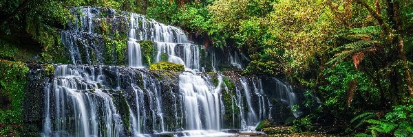 Drzewa, Las, Skały, Purakaunui Falls, Wodospad, Nowa Zelandia, Rośliny, Rzeka, Zielone