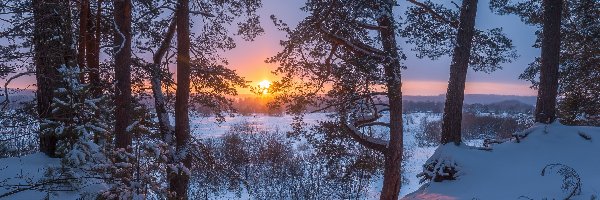 Zima, Słońce, Śnieg, Zachód słońca, Drzewa