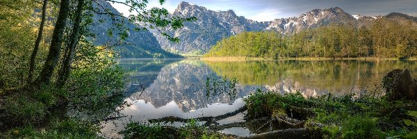 Odbicie, Góry, Jezioro, Almtal, Austria, Drzewa, Almsee