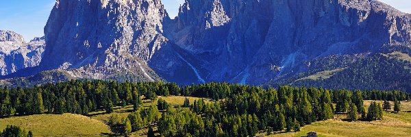 Dolomity, Góry, Drzewa, Domy, Sassolungo, Płaskowyż, Seiser Alm, Włochy