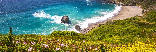 Kwiaty, Stany Zjednoczone, Skały, Big Sur Beach, Góry, Wybrzeże, Zatoka, Wzgórza, Morze, Kalifornia, Plaża