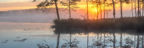 Mgła, Drzewa, Wschód słońca, Niebo, Trawy, Las, Poranek, Jezioro