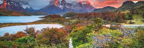 Ścieżka, Park Narodowy Torres Del Paine, Roślinność, Jezioro, Torres del Paine, Kolorowe, Niebo, Chile, Góry, Drzewa
