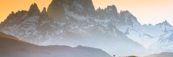 Góry, Ośnieżone, Zamglone, Roślinność, Park Narodowy Los Glaciares, Argentyna