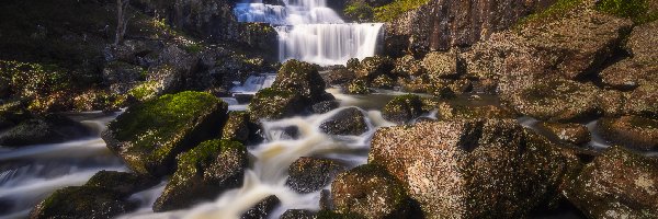 Rzeka, Australia, Skała, Park Narodowy Guy Fawkes River, Drzewa, Wodospad, Kaskada, Mech, Ebor Falls, Nowa Południowa Walia, Kamienie