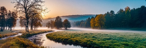 Rzeka, Mgła, Pola, Poranek, Las, Góry