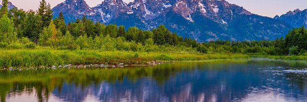 Góry, Stan Wyoming, Trawa, Drzewa, Park Narodowy Grand Teton, Rzeka Snake, Odbicie, Stany Zjednoczone