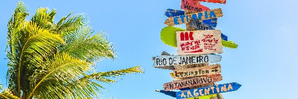 Drogowskaz, Palma, Kierunki, Wskazówki