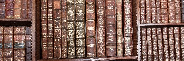 Półki, Okładki, Książki, Regał, Brązowe, Biblioteka