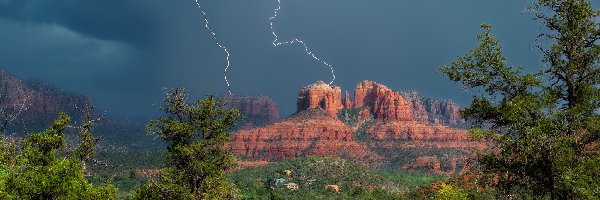 Błyskawice, Arizona, Kaktusy, Pioruny, Skały, Cathedral Rock, Chmury, Stany Zjednoczone, Sedona, Drzewa