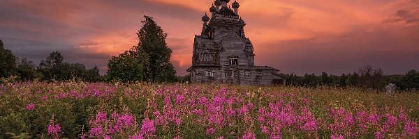 Cerkiew, Kwiaty, Łąka, Drzewo, Zachód Słońca