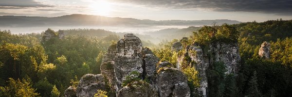 Las, Skały, Góry Stołowe, Chmury, Wschód Słońca, Czechy, Czeski Raj, Mgła, Drzewa