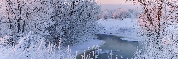 Rzeka, Oszronione, Drzewa, Poranek, Śnieg, Zima