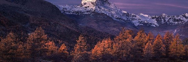 Las, Jesień, Alpy Pennińskie, Góry, Szwajcaria, Rzeka, Drzewa, Szczyt Matterhorn, Pożółkłe