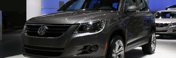 Volkswagen Tiguan, Dealer