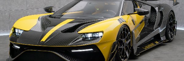 Mansory Under Armour, Ford GT