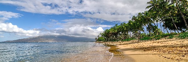 Plaża, Maui, Morze, Palmy, Hawaje, Stany Zjednoczone